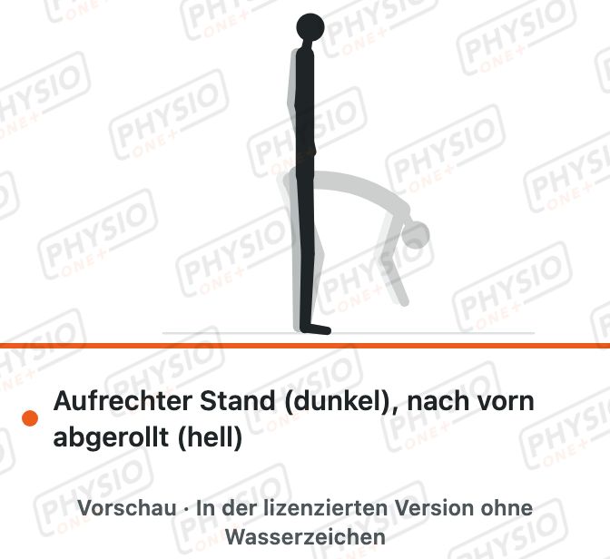 Vorschau: Wirbel für Wirbel abrollen im Stand