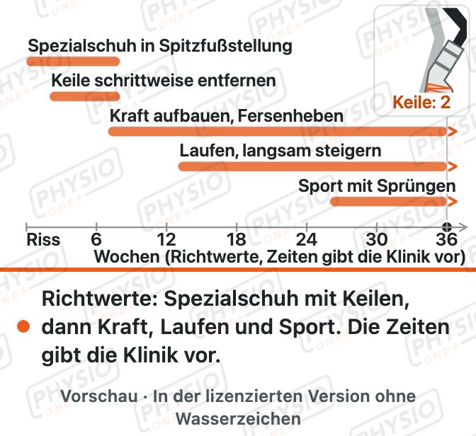 Vorschau: Nach Achillessehnenriss: Spezialschuh und Keile