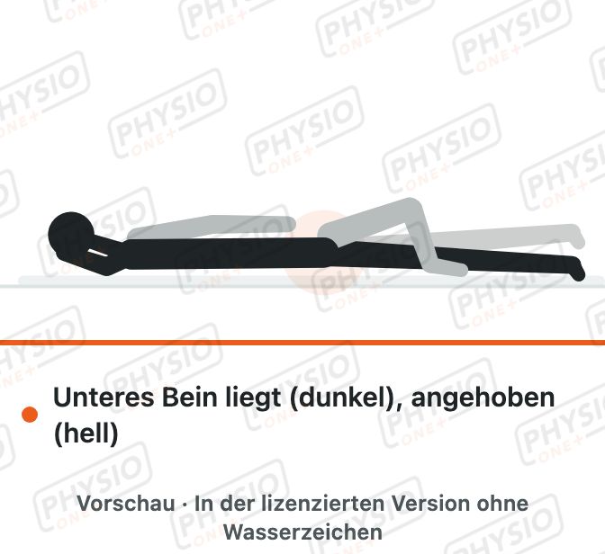 Vorschau: Unteres Bein heben in Seitlage