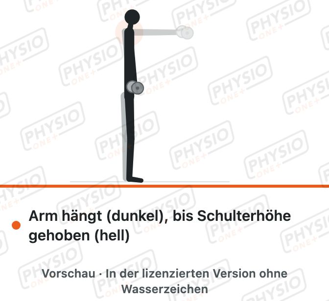 Vorschau: Arm nach vorn heben mit Kurzhantel