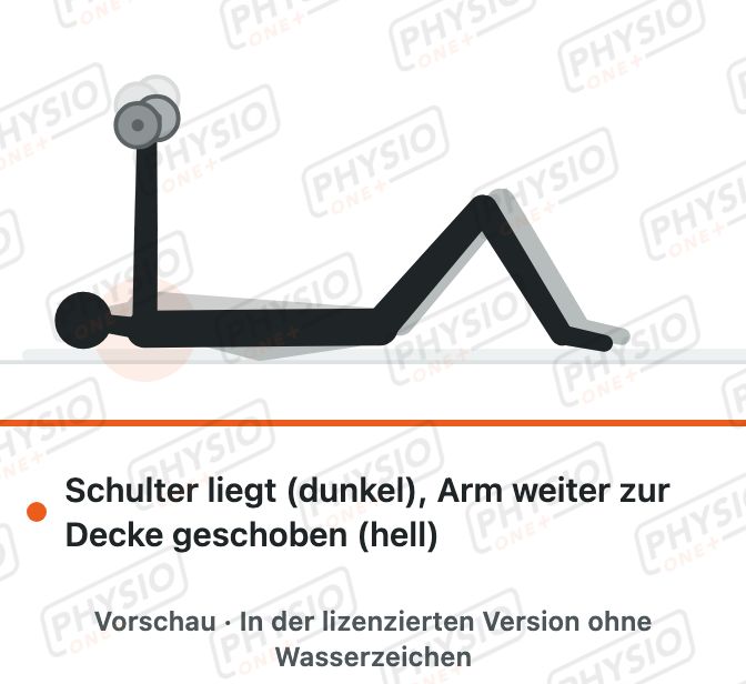 Vorschau: Arm zur Decke schieben in Rückenlage