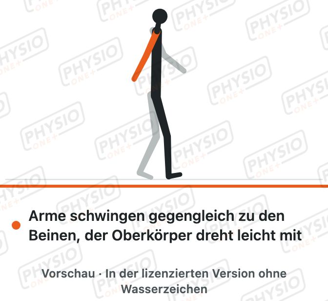 Vorschau: Armschwung beim Gehen