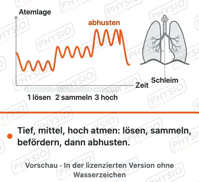 Vorschau: Sekret lösen durch Atmen in drei Stufen