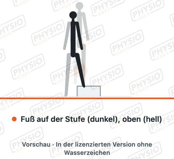 Vorschau: Seitliches Aufsteigen auf die Stufe