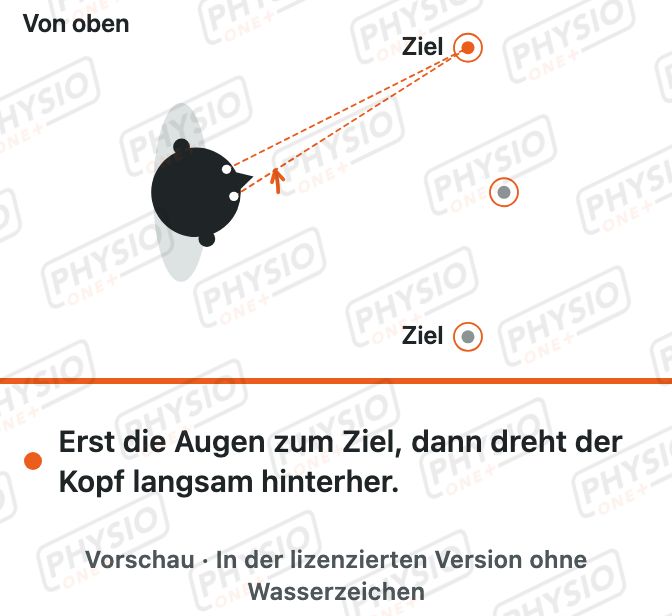 Vorschau: Augen führen, Kopf folgt