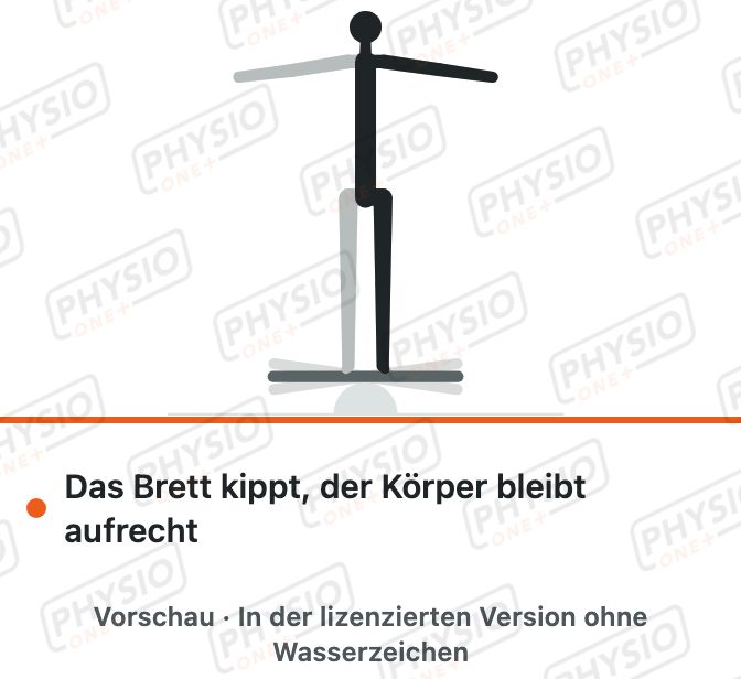 Vorschau: Balancetraining auf dem Kippbrett