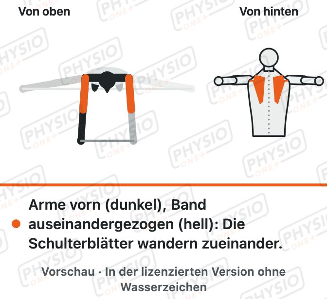 Vorschau: Band vor der Brust auseinanderziehen