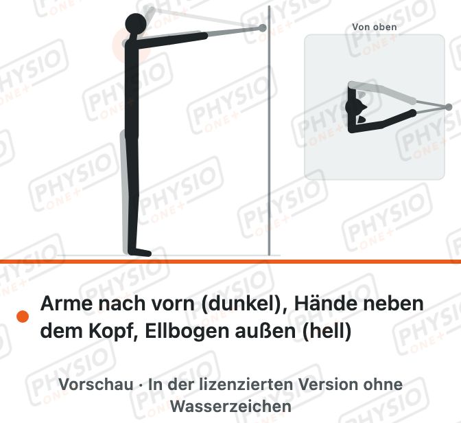 Vorschau: Band zum Gesicht ziehen mit Außendrehung