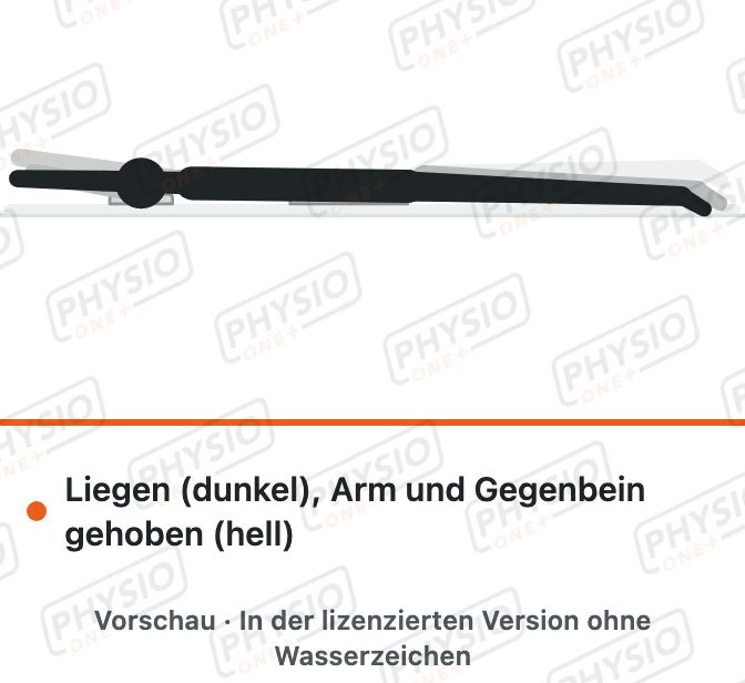 Vorschau: Arm und Gegenbein heben in Bauchlage