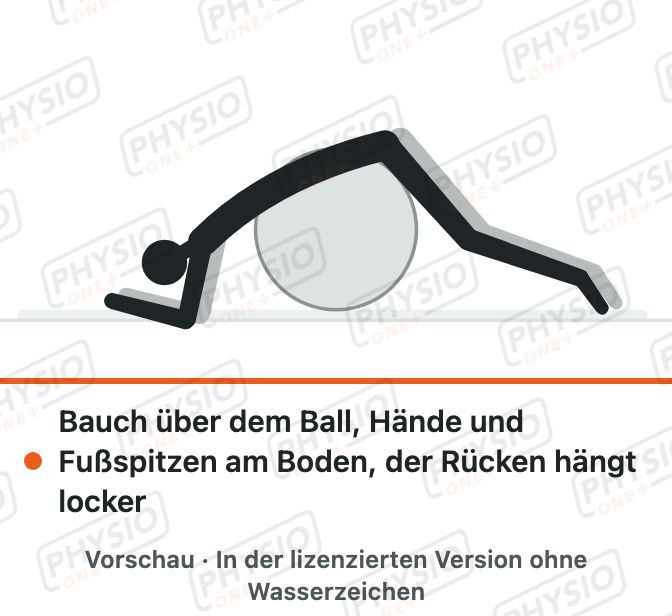 Vorschau: Bauchlage über dem Gymnastikball
