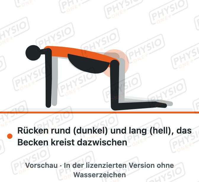 Vorschau: Becken kreisen im Vierfüßlerstand in der Schwangerschaft