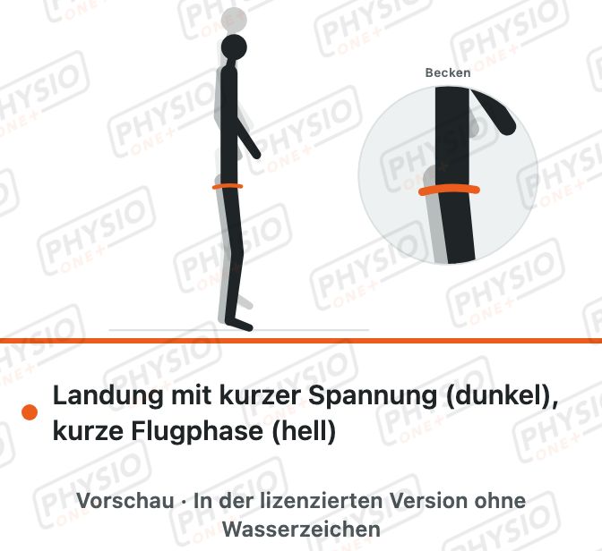 Vorschau: Beckenboden bei Sprung und Lauf
