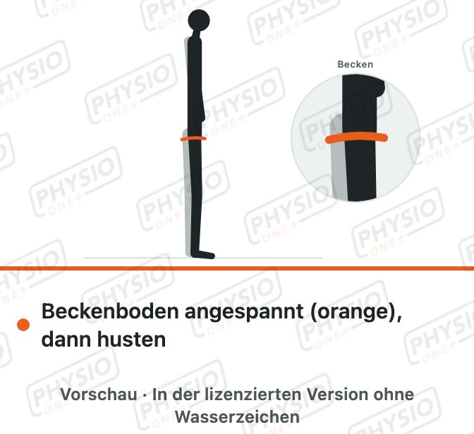 Vorschau: Beckenboden vor dem Husten vorspannen