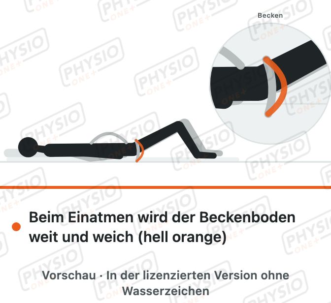 Vorschau: Beckenboden bewusst loslassen
