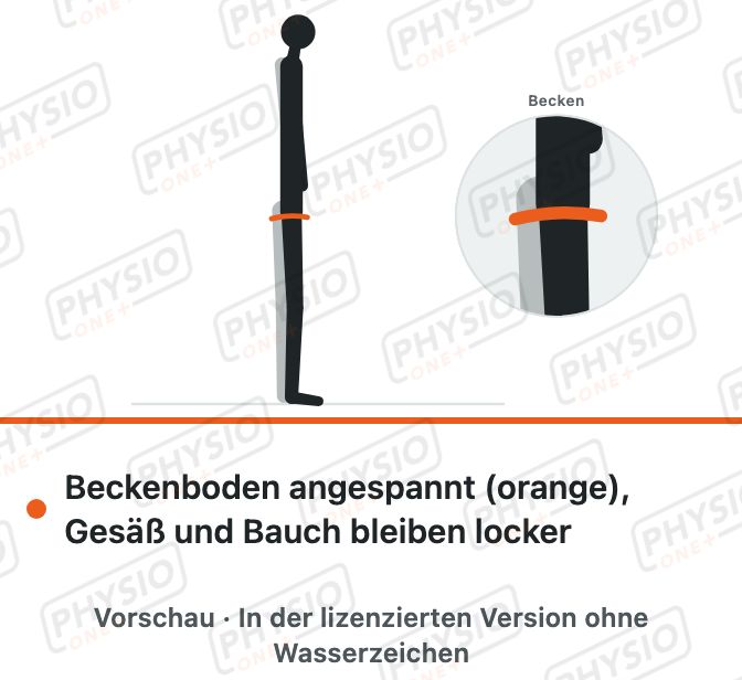Vorschau: Beckenboden anspannen im Stand (Männer)