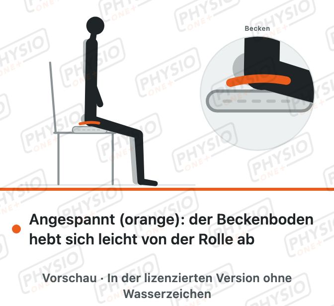 Vorschau: Beckenboden spüren auf einer Handtuchrolle