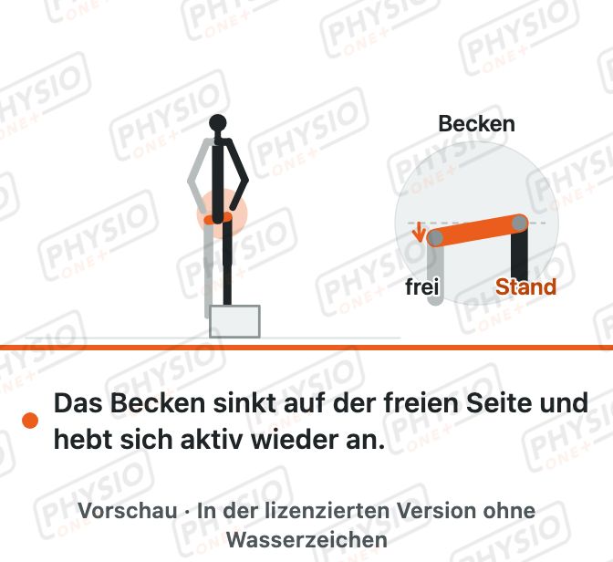 Vorschau: Seitliches Beckenheben an der Stufe