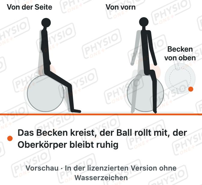Vorschau: Beckenkreisen auf dem Sitzball