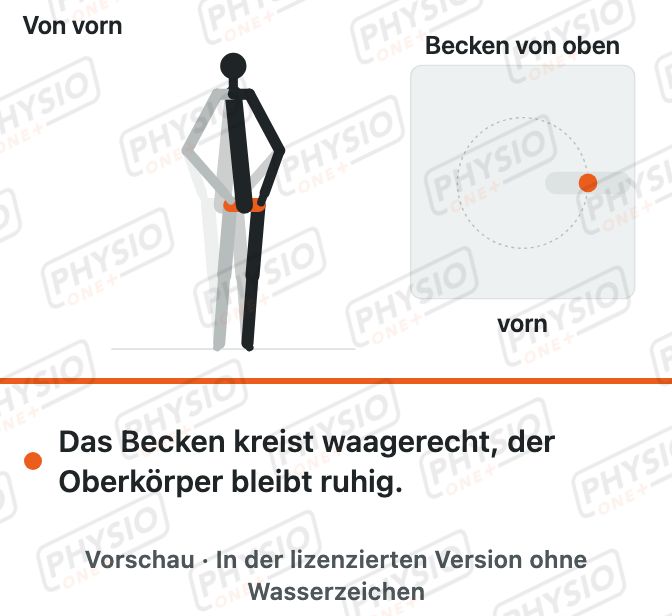 Vorschau: Becken kreisen im Stand