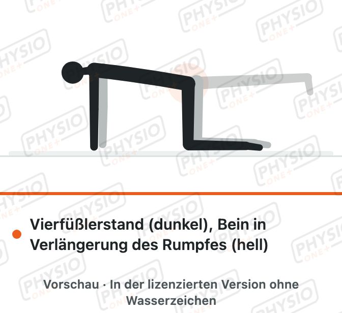 Vorschau: Bein nach hinten strecken im Vierfüßlerstand