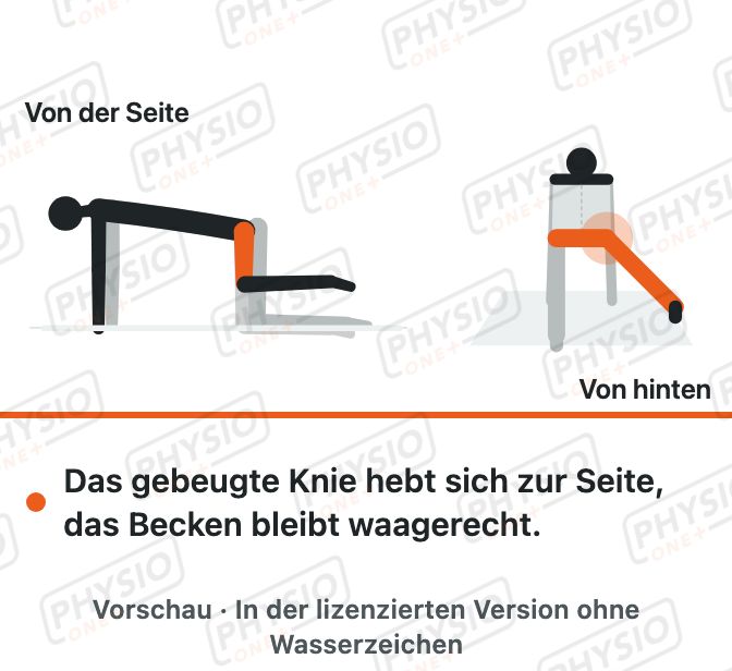 Vorschau: Bein seitlich heben im Vierfüßlerstand