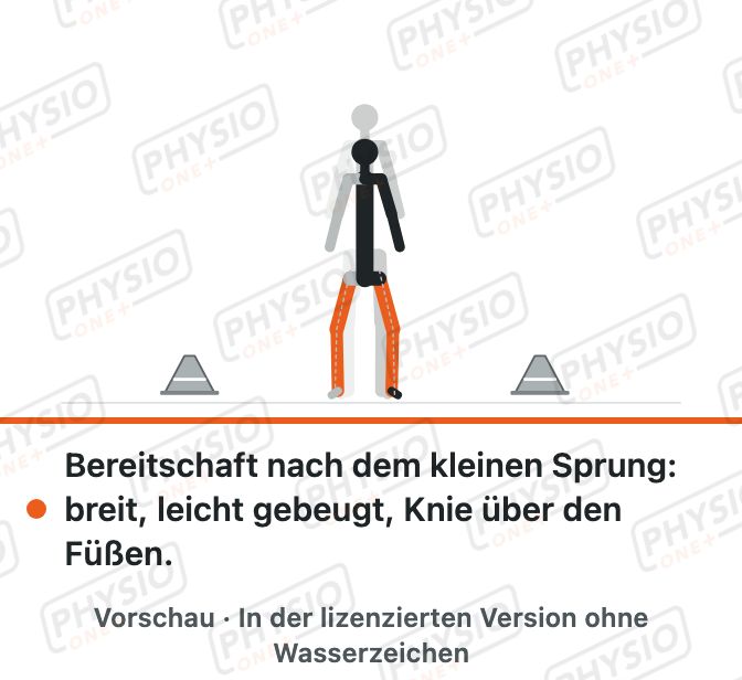 Vorschau: Beinarbeit: Seitschritte und kleiner Sprung