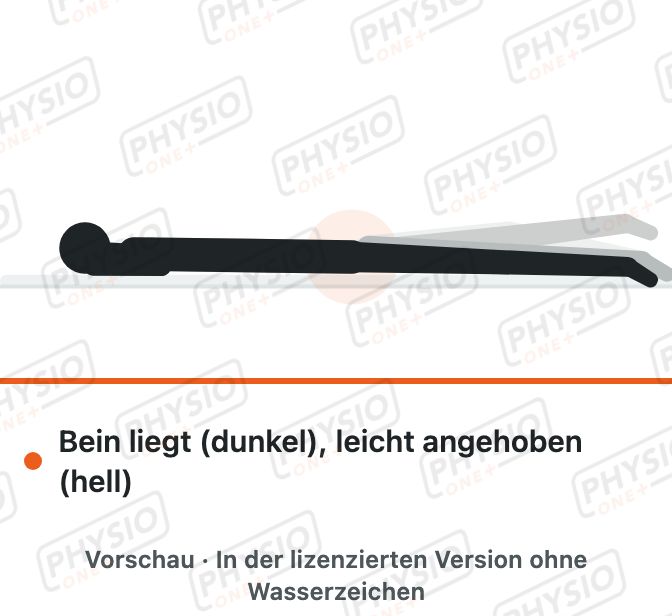 Vorschau: Bein heben in Bauchlage