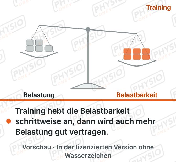 Vorschau: Belastung und Belastbarkeit