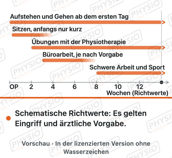 Vorschau: Belastungsaufbau nach Bandscheiben-OP