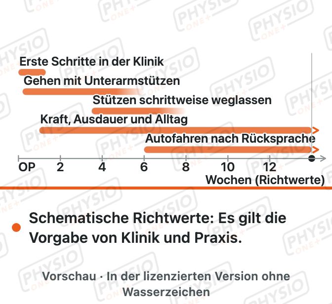 Vorschau: Belastungsaufbau nach Hüft-TEP