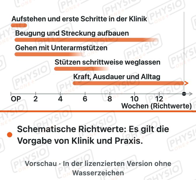 Vorschau: Belastungsaufbau nach Knie-TEP