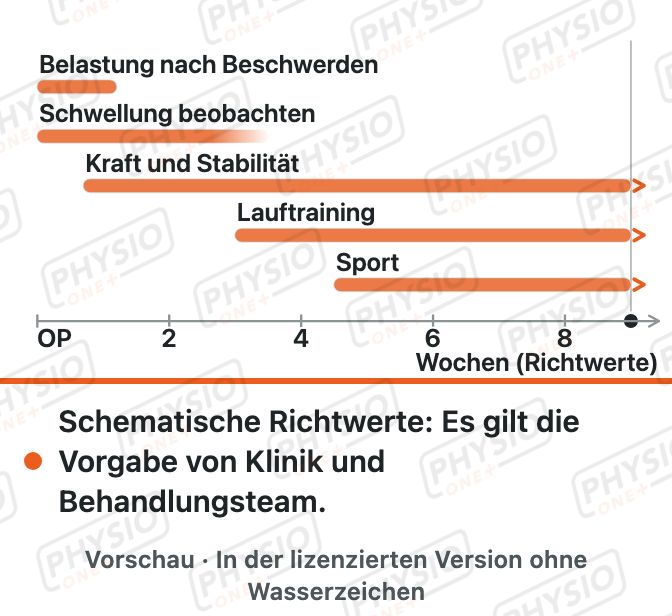 Vorschau: Belastungsaufbau nach Meniskus-Teilentfernung