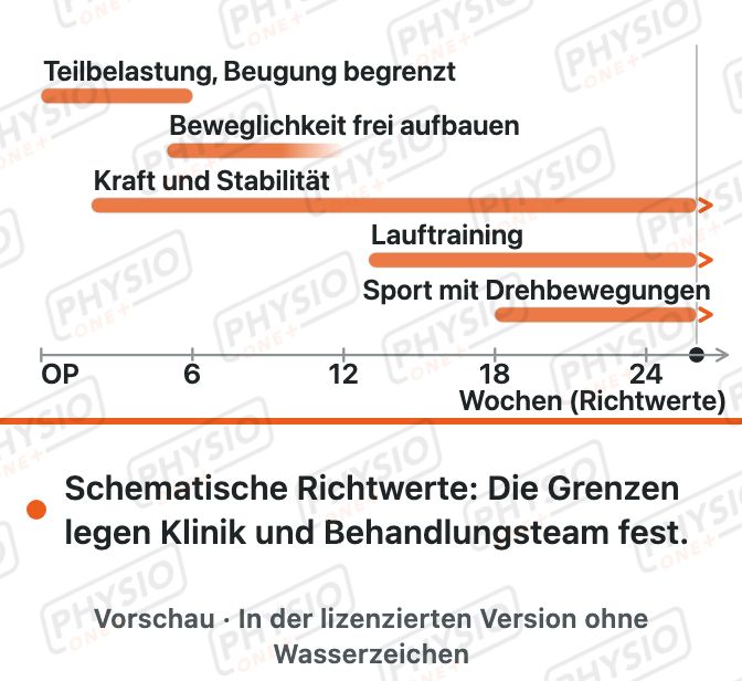 Vorschau: Belastungsaufbau nach Meniskusnaht
