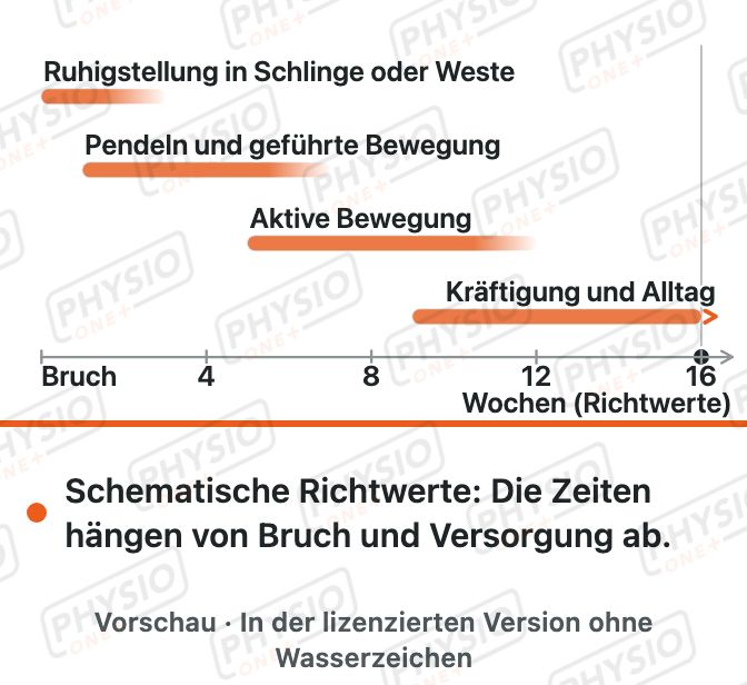 Vorschau: Belastungsaufbau nach Oberarmbruch
