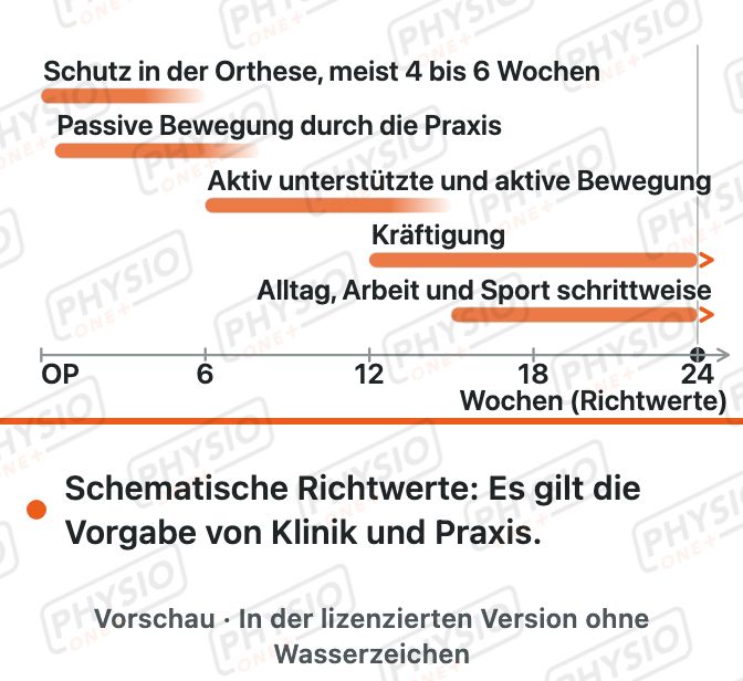Vorschau: Belastungsaufbau nach Rotatorenmanschetten-Naht