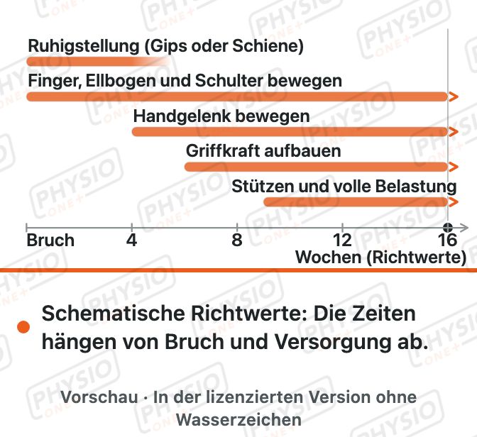 Vorschau: Belastungsaufbau nach Speichenbruch