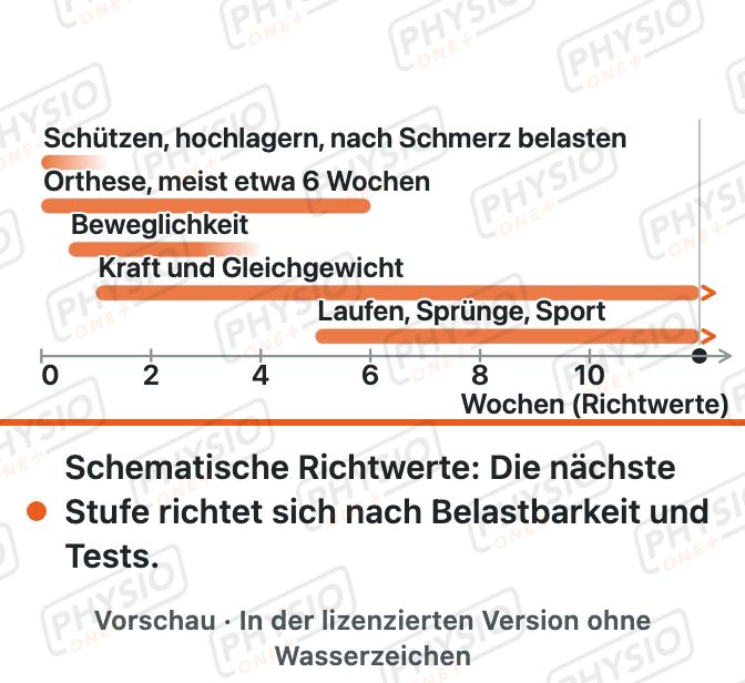 Vorschau: Belastungsaufbau nach Sprunggelenksverletzung