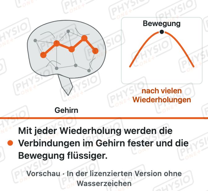 Vorschau: Bewegungen lernen: Wiederholung formt das Gehirn