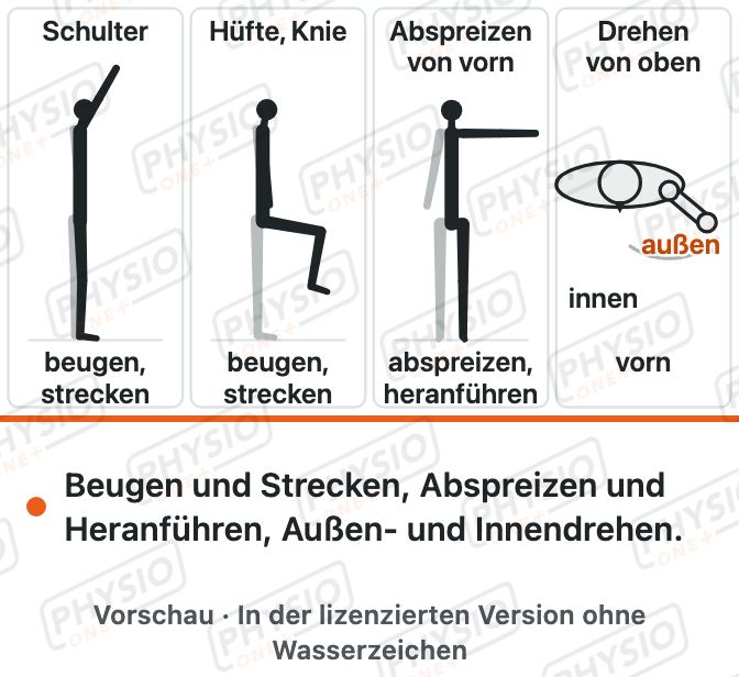 Vorschau: Bewegungsrichtungen: Beugen, Strecken, Abspreizen, Drehen