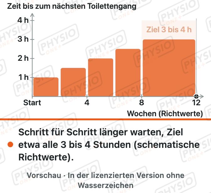 Vorschau: Blasentraining: Abstände verlängern