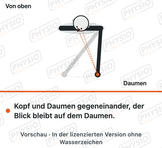 Vorschau: Blickstabilisation mit Gegenbewegung