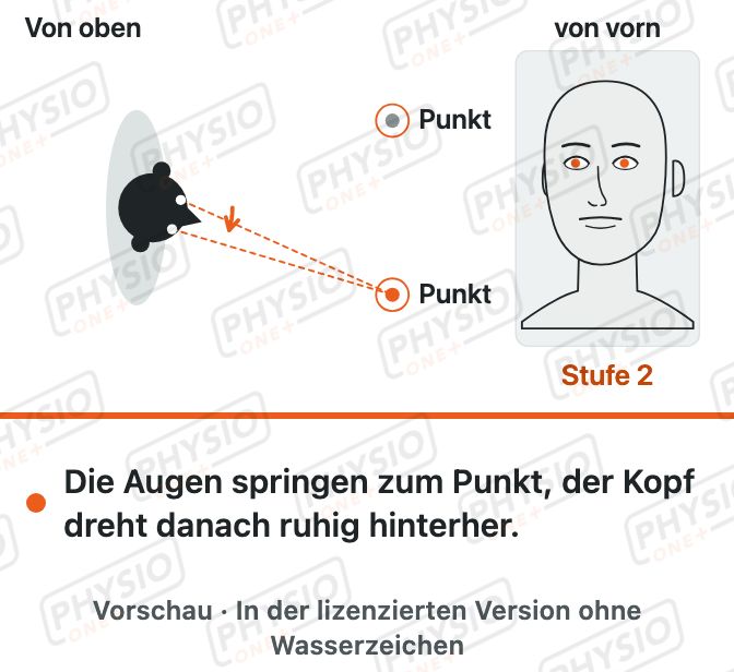 Vorschau: Blicksprünge zwischen zwei Punkten