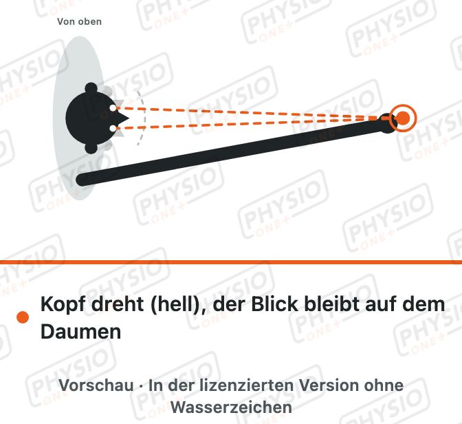 Vorschau: Blickstabilisation mit gestrecktem Arm