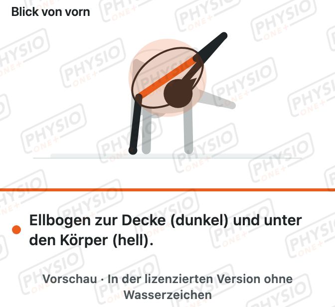 Vorschau: Rumpfdrehung im Vierfüßlerstand mit Hand am Hinterkopf