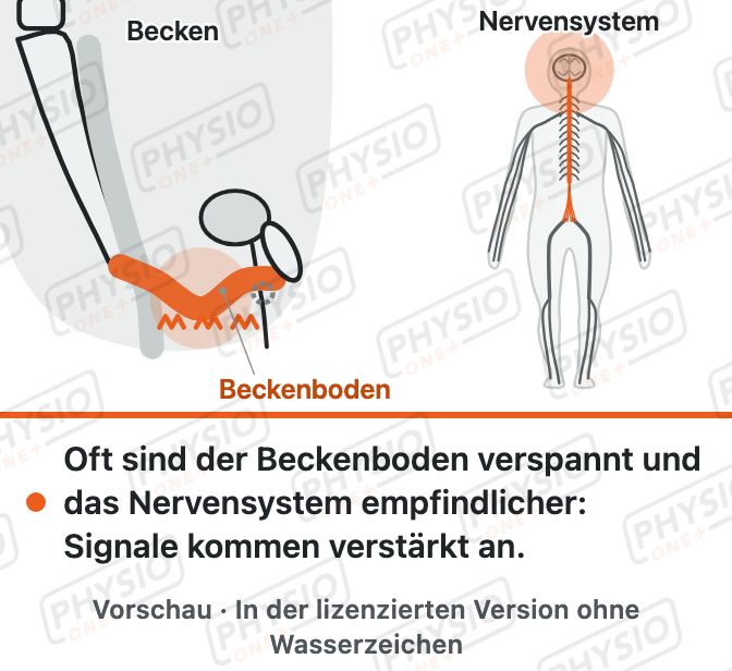 Vorschau: Chronischer Beckenschmerz