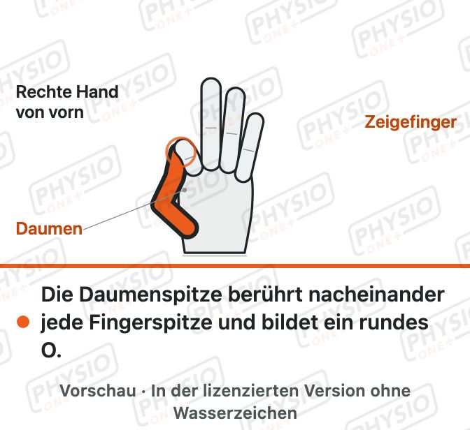 Vorschau: Daumen zu den Fingerspitzen