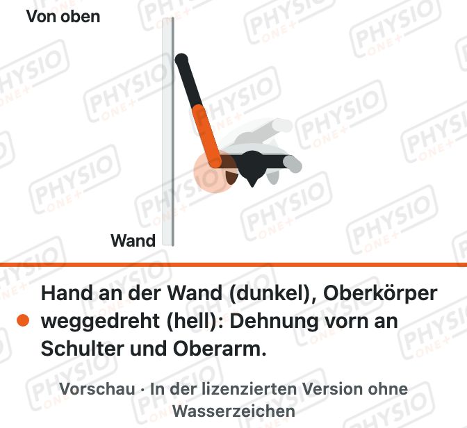 Vorschau: Dehnung des Bizeps an der Wand