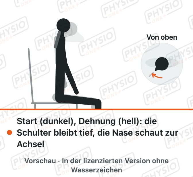 Vorschau: Dehnung des Schulterblatthebers