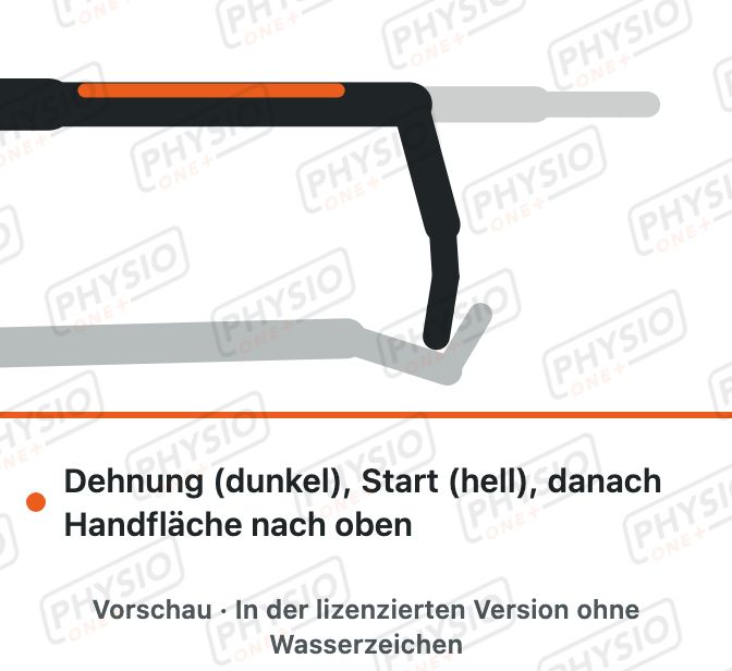 Vorschau: Dehnung der Unterarmmuskulatur beidseitig