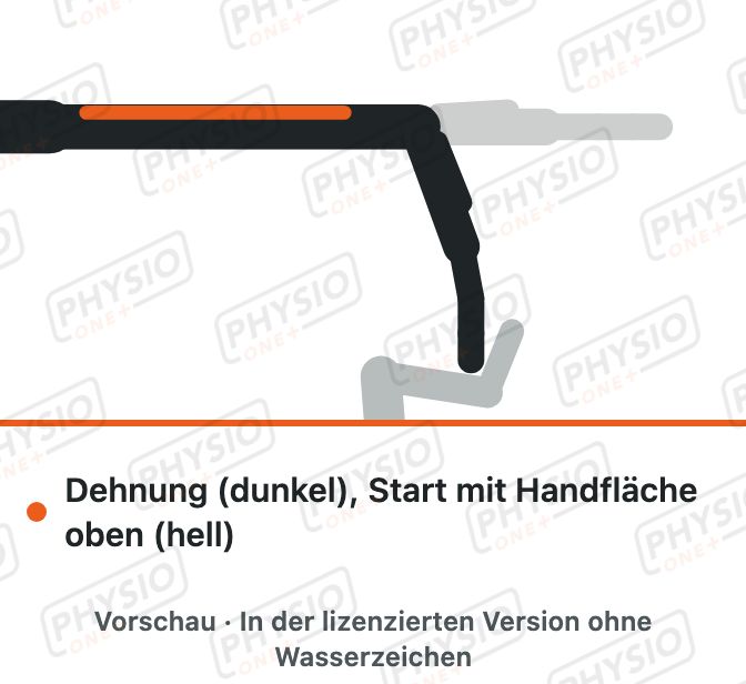Vorschau: Dehnung der Unterarmbeuger
